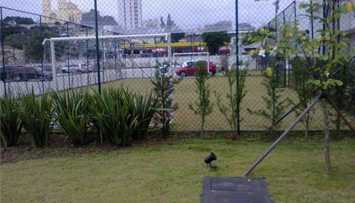 Penha 16